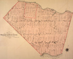 Cayuga